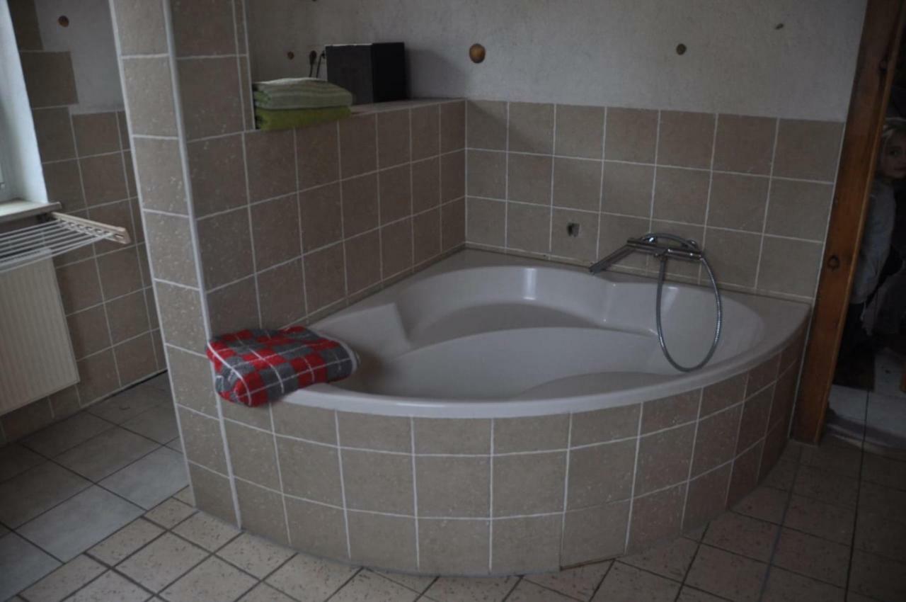 Ferienwohnung Am Park Pegau Εξωτερικό φωτογραφία